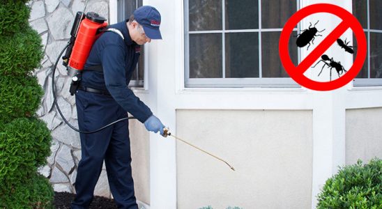 Sasalı Tahtakurusu İlaçlama böcek ilaçlama ve haşere kontrolü — ilaclama-tr.com